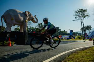 BIB: 
                            <button type="button" onclick="openModal(26182981)" class="btn btn-primary btn-sm float-right btn-popup" data-toggle="modal" data-target=".modal-high-quality">
                        <i class="fas fa-shopping-cart"></i> Add to Cart
                    </button>
                                            <button type="button" onclick="isThisMe(26182981, true)" class="btn btn-success btn-sm float-right btn-popup btn-isme hidden" data-toggle="tooltip" data-placement="bottom" title="นี่คือรูปของคุณใช่ไหม คลิกที่นี่เพื่อเอาเข้าอัลบั้ม">
                        <i class="fas fa-plus"></i> Add to album
                    </button>
                    <button type="button" onclick="isThisMe(26182981, false)" class="btn btn-warning btn-sm float-right btn-popup btn-isnotme hidden">
                        <i class="fas fa-ban"></i> Remove from album
                    </button>